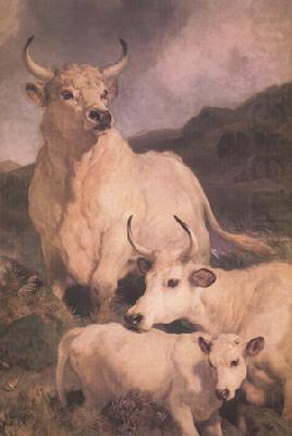 Wild Cattle at Chillingham (nn03), Sir Edwin Landseer